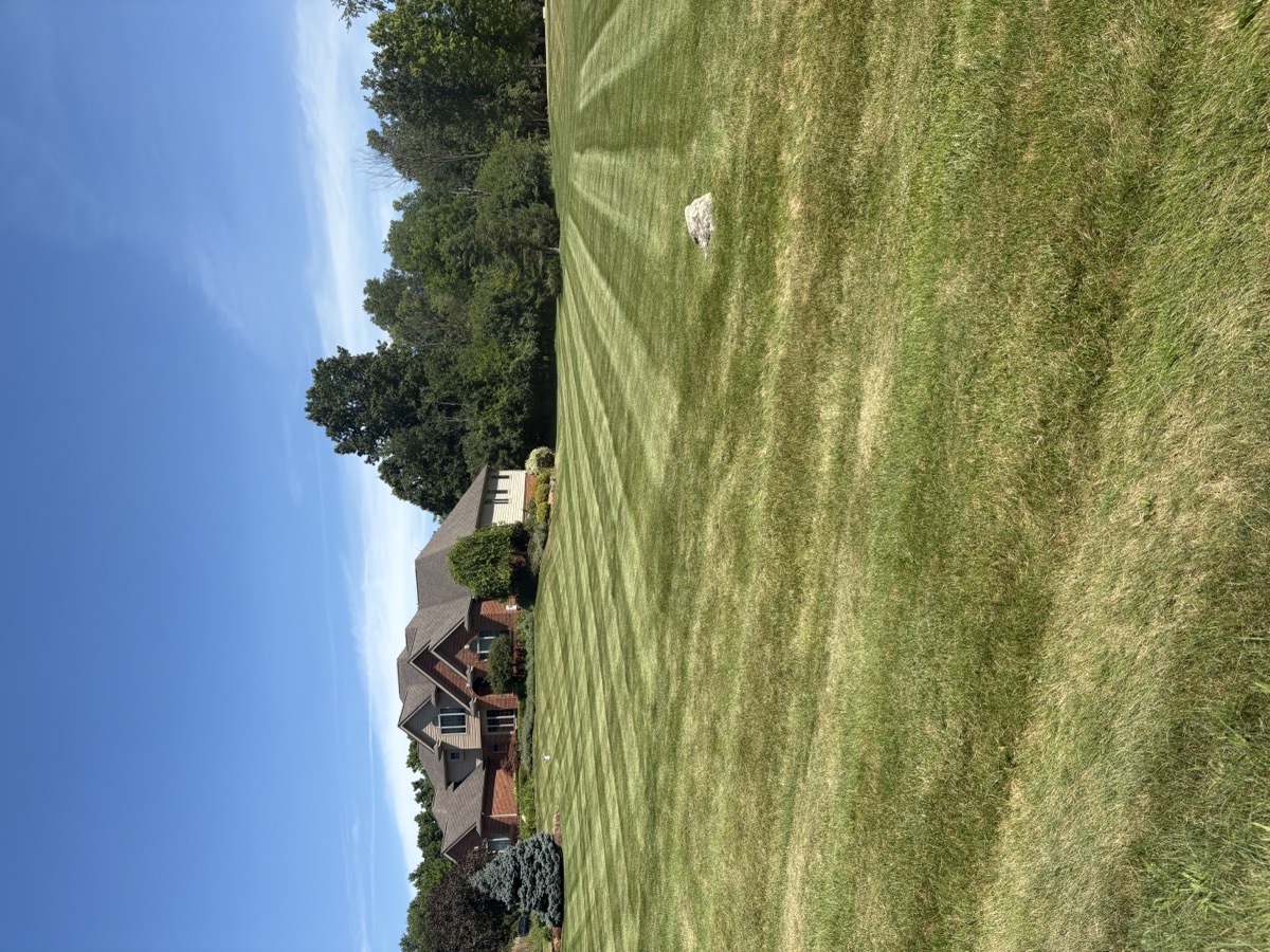 Large property mowing and trimming service in Wayne County