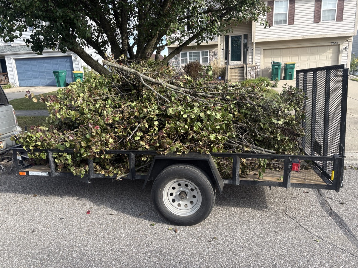 Brush and branch cleanup after seasonal yard work